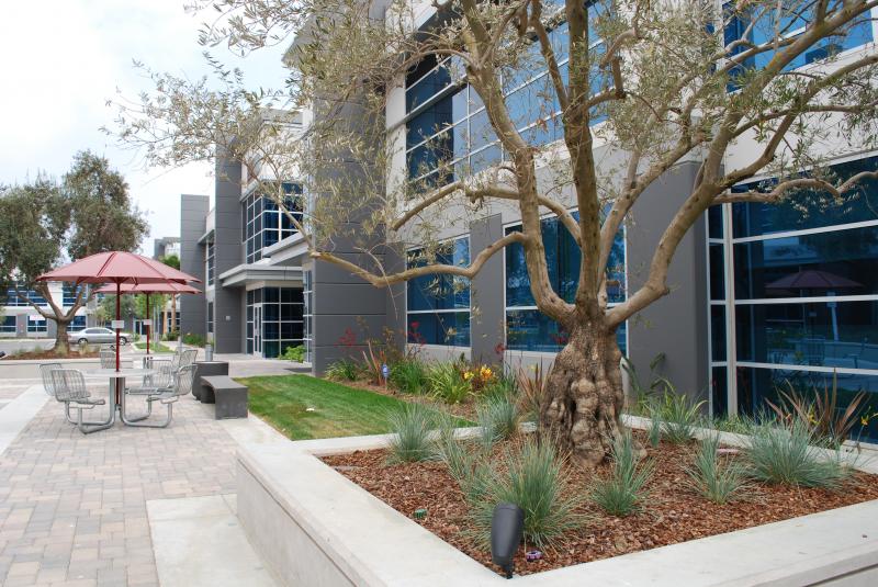 65c1857ccfd34a102db20fe3_el_segundo_park